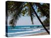 Costa Rica Beach with Tropical Palm Tree Photo Poster Print-null-Stretched Canvas