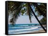 Costa Rica Beach with Tropical Palm Tree Photo Poster Print-null-Framed Stretched Canvas