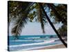 Costa Rica Beach with Tropical Palm Tree Photo Poster Print-null-Stretched Canvas