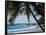 Costa Rica Beach with Tropical Palm Tree Photo Poster Print-null-Framed Poster