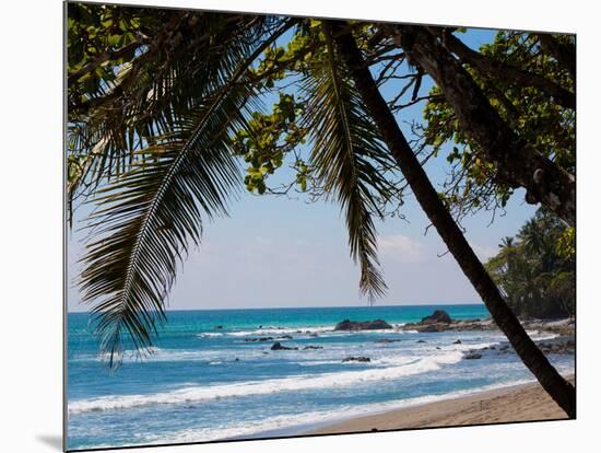 Costa Rica Beach with Tropical Palm Tree Photo Poster Print-null-Mounted Poster