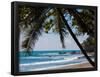 Costa Rica Beach with Tropical Palm Tree Photo Poster Print-null-Framed Poster