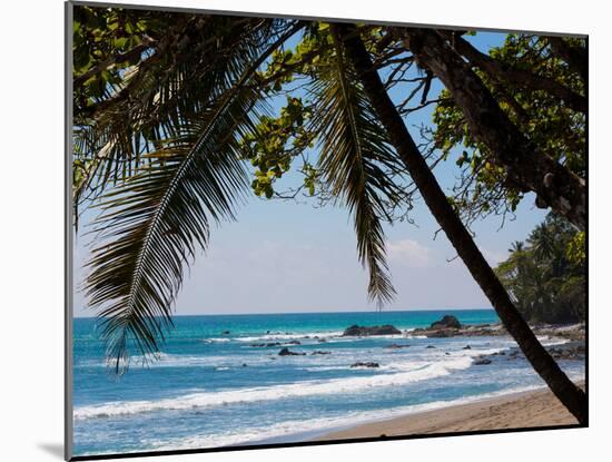 Costa Rica Beach with Tropical Palm Tree Photo Poster Print-null-Mounted Poster