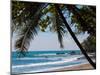 Costa Rica Beach with Tropical Palm Tree Photo Poster Print-null-Mounted Poster
