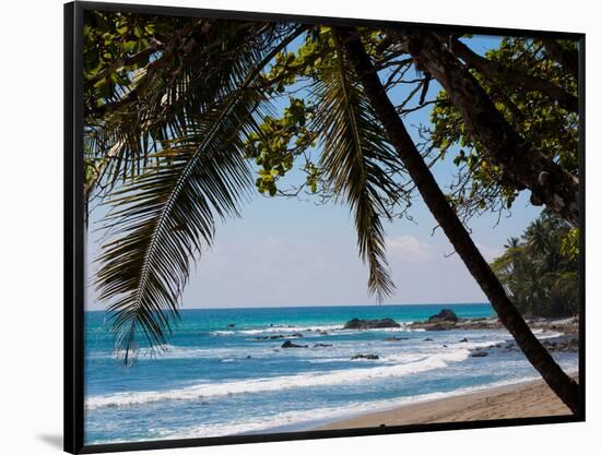 Costa Rica Beach with Tropical Palm Tree Photo Poster Print-null-Framed Poster