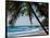 Costa Rica Beach with Tropical Palm Tree Photo Poster Print-null-Framed Poster