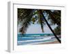 Costa Rica Beach with Tropical Palm Tree Photo Poster Print-null-Framed Art Print