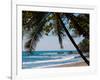 Costa Rica Beach with Tropical Palm Tree Photo Poster Print-null-Framed Art Print