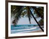 Costa Rica Beach with Tropical Palm Tree Photo Poster Print-null-Framed Art Print