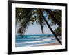 Costa Rica Beach with Tropical Palm Tree Photo Poster Print-null-Framed Art Print