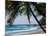 Costa Rica Beach with Tropical Palm Tree Photo Poster Print-null-Mounted Art Print