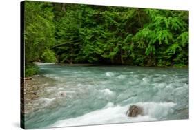 Costa Rica blue river-George Theodore-Stretched Canvas