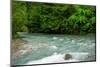 Costa Rica blue river-George Theodore-Mounted Photographic Print