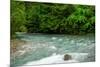 Costa Rica blue river-George Theodore-Mounted Photographic Print