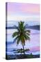 Costa Rica, Cahuita, Cahuita National Park, Lowland Tropical Rainforest, Caribbean Coast, Dawn-John Coletti-Stretched Canvas