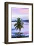 Costa Rica, Cahuita, Cahuita National Park, Lowland Tropical Rainforest, Caribbean Coast, Dawn-John Coletti-Framed Photographic Print