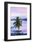 Costa Rica, Cahuita, Cahuita National Park, Lowland Tropical Rainforest, Caribbean Coast, Dawn-John Coletti-Framed Photographic Print