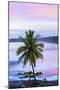 Costa Rica, Cahuita, Cahuita National Park, Lowland Tropical Rainforest, Caribbean Coast, Dawn-John Coletti-Mounted Photographic Print