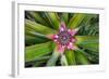 Costa Rica. Central America-Tom Norring-Framed Photographic Print