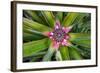 Costa Rica. Central America-Tom Norring-Framed Photographic Print