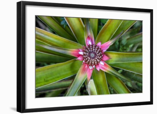 Costa Rica. Central America-Tom Norring-Framed Photographic Print