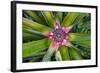 Costa Rica. Central America-Tom Norring-Framed Photographic Print