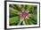 Costa Rica. Central America-Tom Norring-Framed Photographic Print