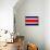 Costa Rica Flag Design with Wood Patterning - Flags of the World Series-Philippe Hugonnard-Mounted Premium Giclee Print displayed on a wall