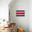 Costa Rica Flag Design with Wood Patterning - Flags of the World Series-Philippe Hugonnard-Stretched Canvas displayed on a wall