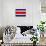 Costa Rica Flag Design with Wood Patterning - Flags of the World Series-Philippe Hugonnard-Art Print displayed on a wall