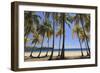 Costa Rica, Guanacaste, Nicoya Peninsula, Nosara, Playa Carillo-Michele Falzone-Framed Photographic Print