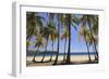 Costa Rica, Guanacaste, Nicoya Peninsula, Nosara, Playa Carillo-Michele Falzone-Framed Photographic Print