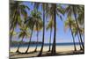 Costa Rica, Guanacaste, Nicoya Peninsula, Nosara, Playa Carillo-Michele Falzone-Mounted Photographic Print