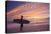 Costa Rica, Guanacaste, Nicoya Peninsula, Santa Teresa, Playa Santa Teresa-Michele Falzone-Stretched Canvas