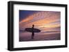 Costa Rica, Guanacaste, Nicoya Peninsula, Santa Teresa, Playa Santa Teresa-Michele Falzone-Framed Photographic Print