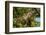 Costa Rica, iguana-George and Marilu Theodore-Framed Photographic Print