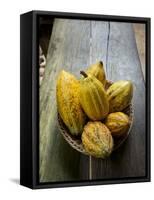 Costa Rica, La Virgen De Sarapiqui, Picked Cocoa Pods Used for Demonstration on How to Make Chocola-John Coletti-Framed Stretched Canvas
