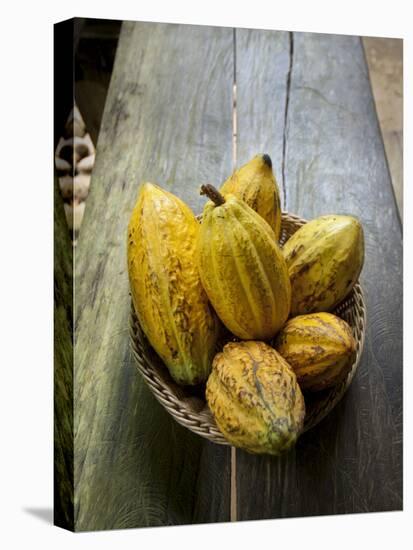 Costa Rica, La Virgen De Sarapiqui, Picked Cocoa Pods Used for Demonstration on How to Make Chocola-John Coletti-Stretched Canvas