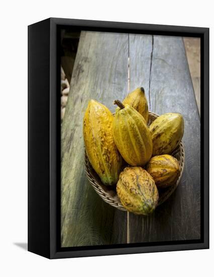 Costa Rica, La Virgen De Sarapiqui, Picked Cocoa Pods Used for Demonstration on How to Make Chocola-John Coletti-Framed Stretched Canvas