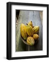 Costa Rica, La Virgen De Sarapiqui, Picked Cocoa Pods Used for Demonstration on How to Make Chocola-John Coletti-Framed Photographic Print