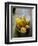 Costa Rica, La Virgen De Sarapiqui, Picked Cocoa Pods Used for Demonstration on How to Make Chocola-John Coletti-Framed Photographic Print