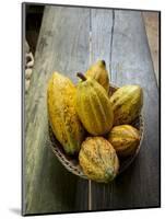 Costa Rica, La Virgen De Sarapiqui, Picked Cocoa Pods Used for Demonstration on How to Make Chocola-John Coletti-Mounted Photographic Print