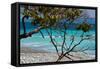 Costa Rica Light Blue Water Beach Photo Poster Print-null-Framed Stretched Canvas