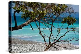 Costa Rica Light Blue Water Beach Photo Poster Print-null-Stretched Canvas