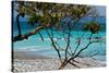 Costa Rica Light Blue Water Beach Photo Poster Print-null-Stretched Canvas