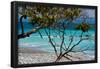 Costa Rica Light Blue Water Beach Photo Poster Print-null-Framed Poster