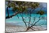 Costa Rica Light Blue Water Beach Photo Poster Print-null-Mounted Poster