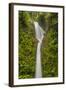 Costa Rica, Monteverde Cloud Forest Biological Reserve. La Paz Waterfall Scenic-Jaynes Gallery-Framed Photographic Print