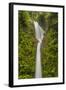 Costa Rica, Monteverde Cloud Forest Biological Reserve. La Paz Waterfall Scenic-Jaynes Gallery-Framed Photographic Print