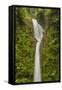 Costa Rica, Monteverde Cloud Forest Biological Reserve. La Paz Waterfall Scenic-Jaynes Gallery-Framed Stretched Canvas